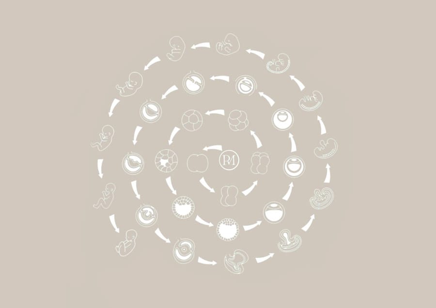 Blog: Zwangerschap: van maanzaadje tot pompoen in 9 maanden | Proud MaMa